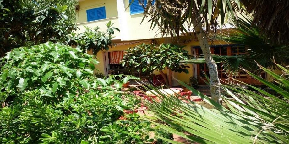 סנטה דומניקה Hotel Alexander מראה חיצוני תמונה